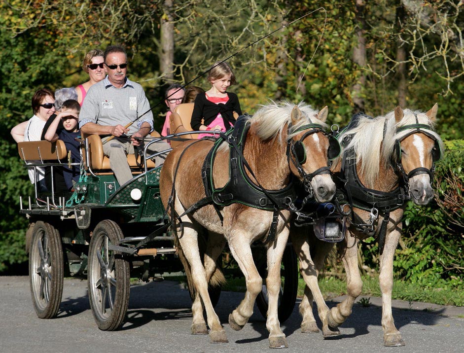 Maredsous-Nocturnes 300x300