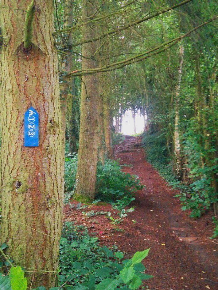Maredsous-promenade-2-C