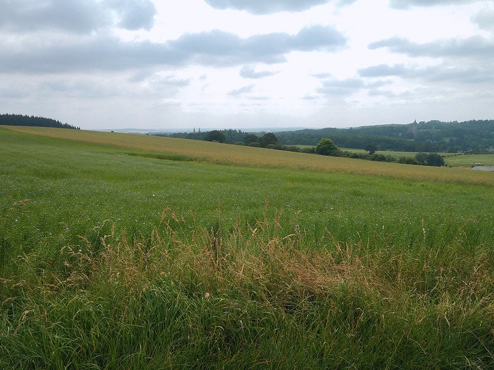 Maredsous-promenade-2-D