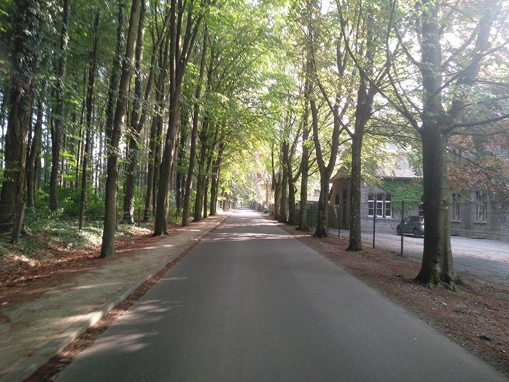 Maredsous-promenade-6-A