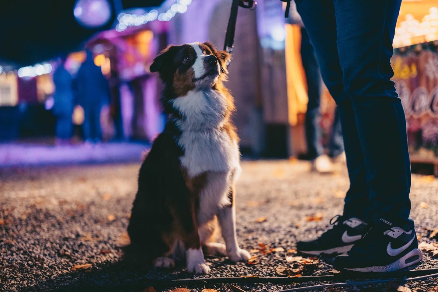 Noel_2022_WE1Duvel.Moortgat.2022.KerstMarkt.Maredsous-SunsetMedia-90